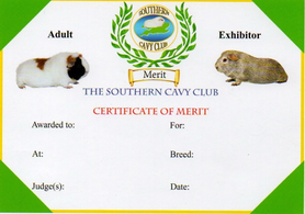 Southern Cavy Club Adult Exhibitor Certificate of Merit