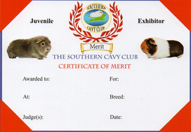 Southern Cavy Club Juvenile Exhibitor Certificate of Merit