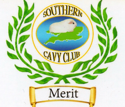 Southern Cavy Club Merit